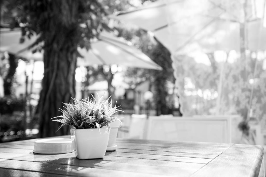 B&B Isabella Milano Marittima Exterior photo